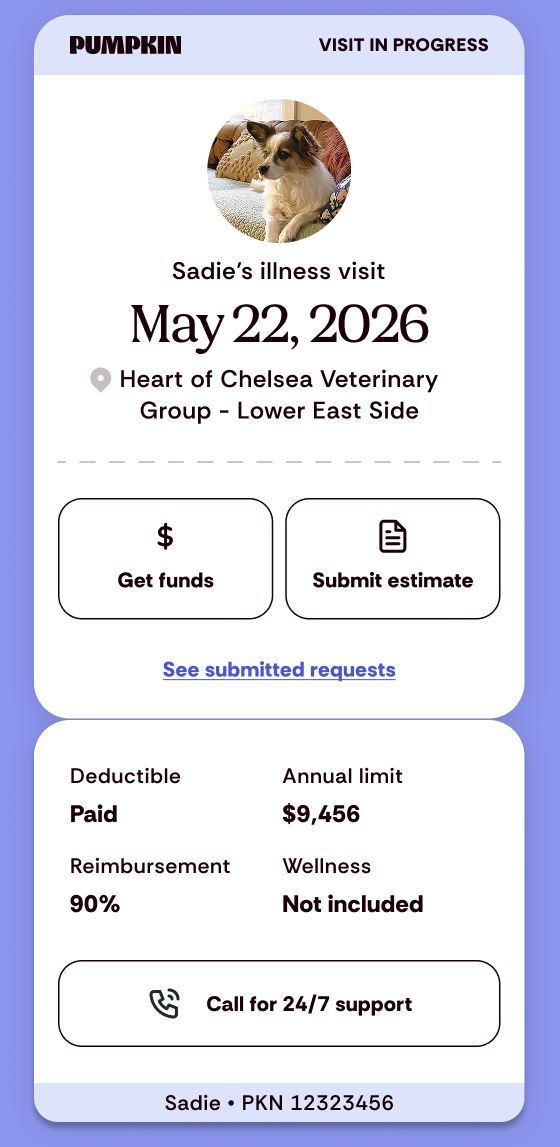 Pumpkin Visit Pass hero — the pass as it lands with the pet parent