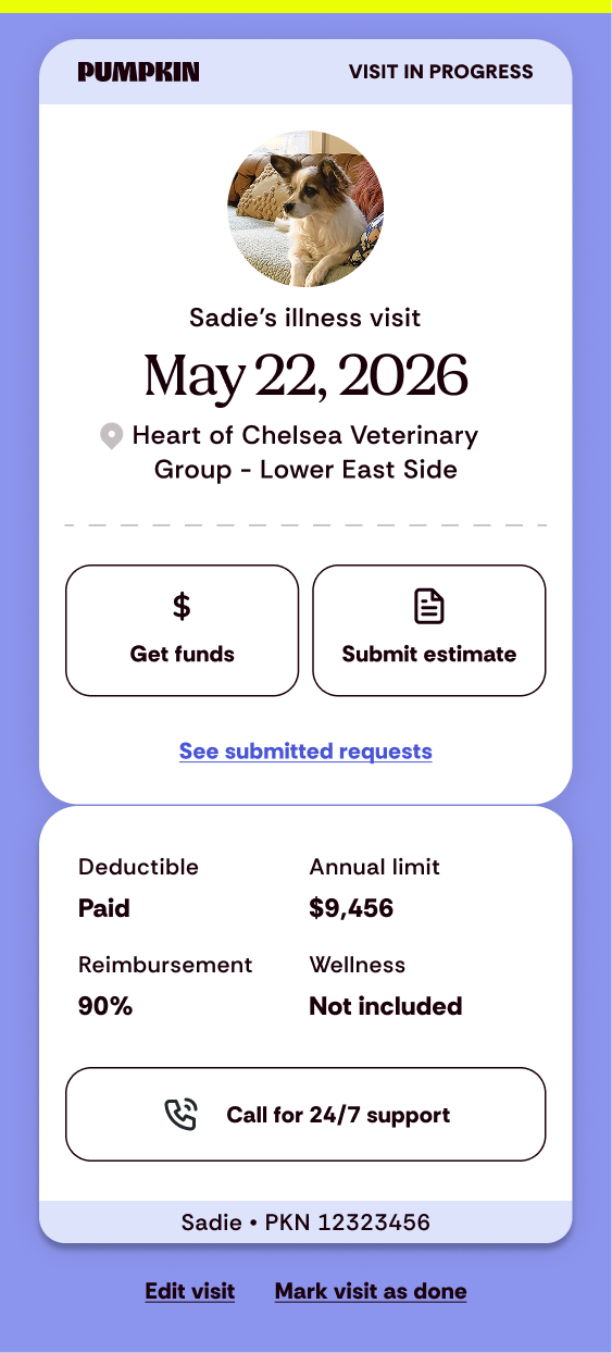 Visit pass — pre-visit state with vet, appointment, plan status, and records review